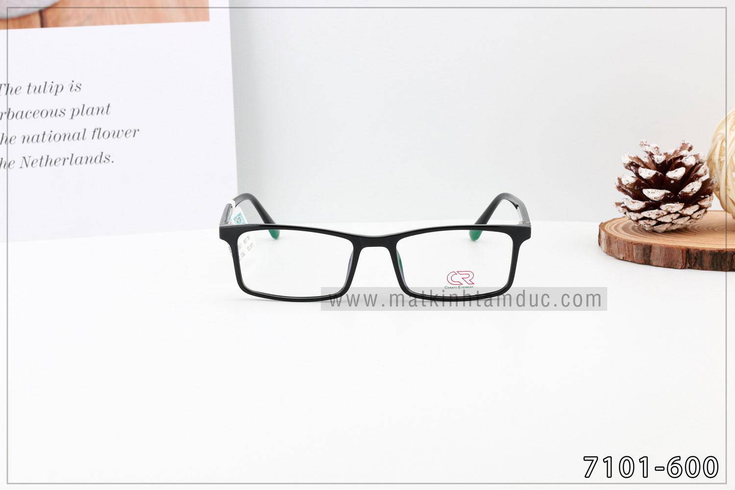 Gọng kính CERATO 7101 - Ảnh 4
