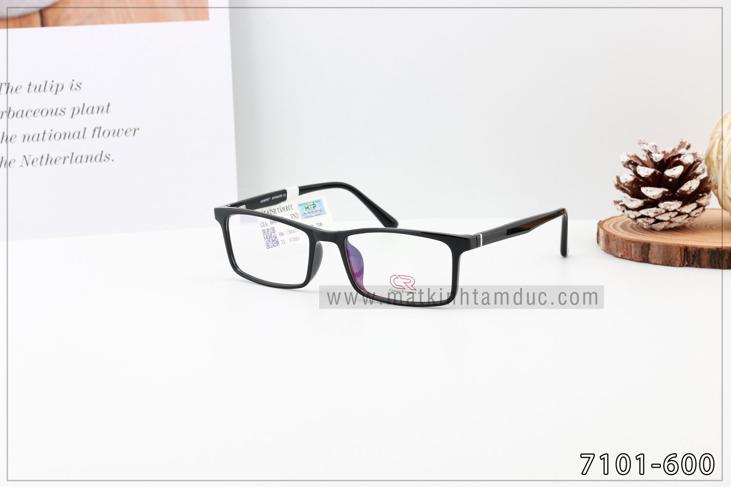 Gọng kính CERATO 7101 - Ảnh 5
