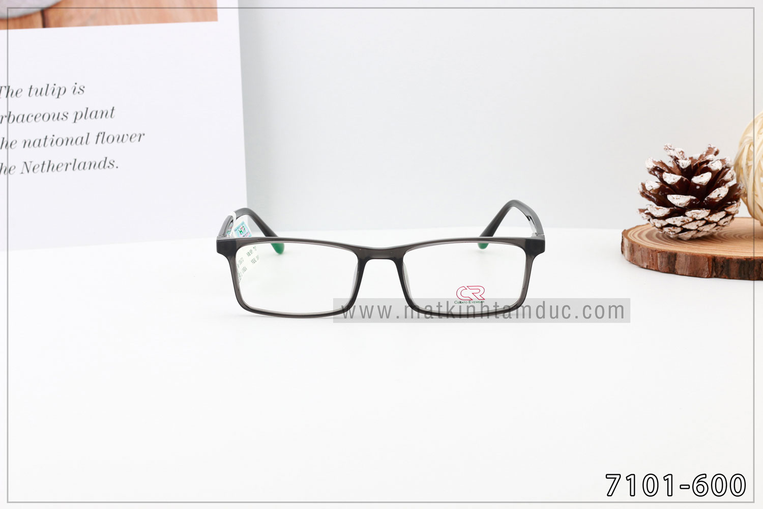 Gọng kính CERATO 7101 - Ảnh 6