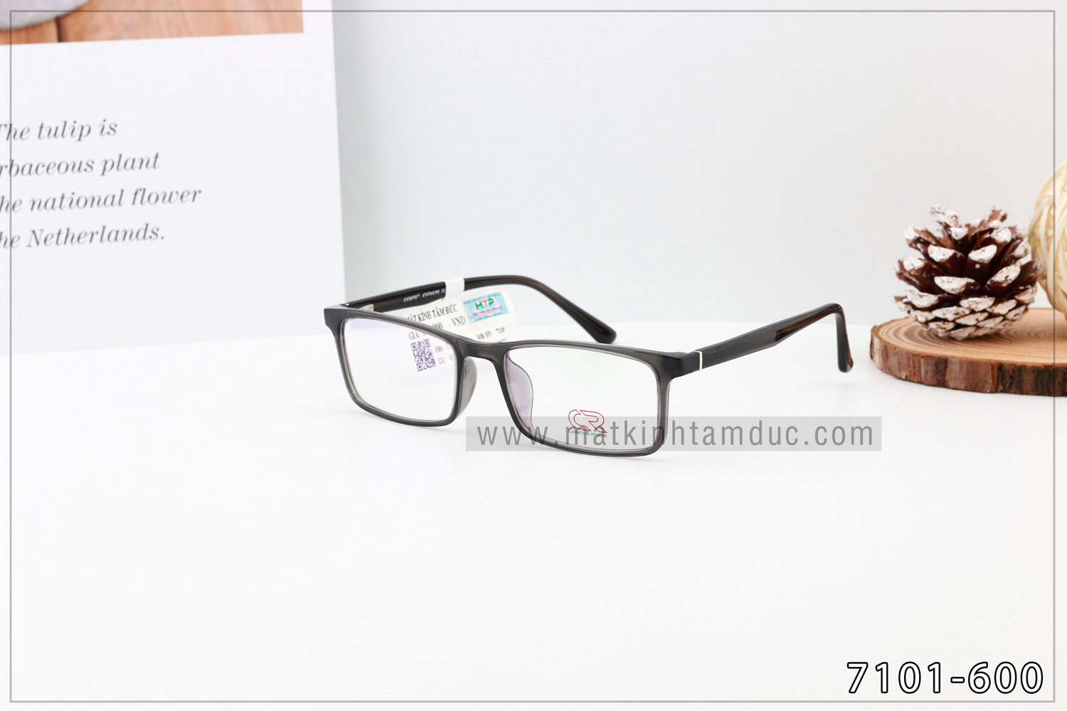Gọng kính CERATO 7101 - Ảnh 7