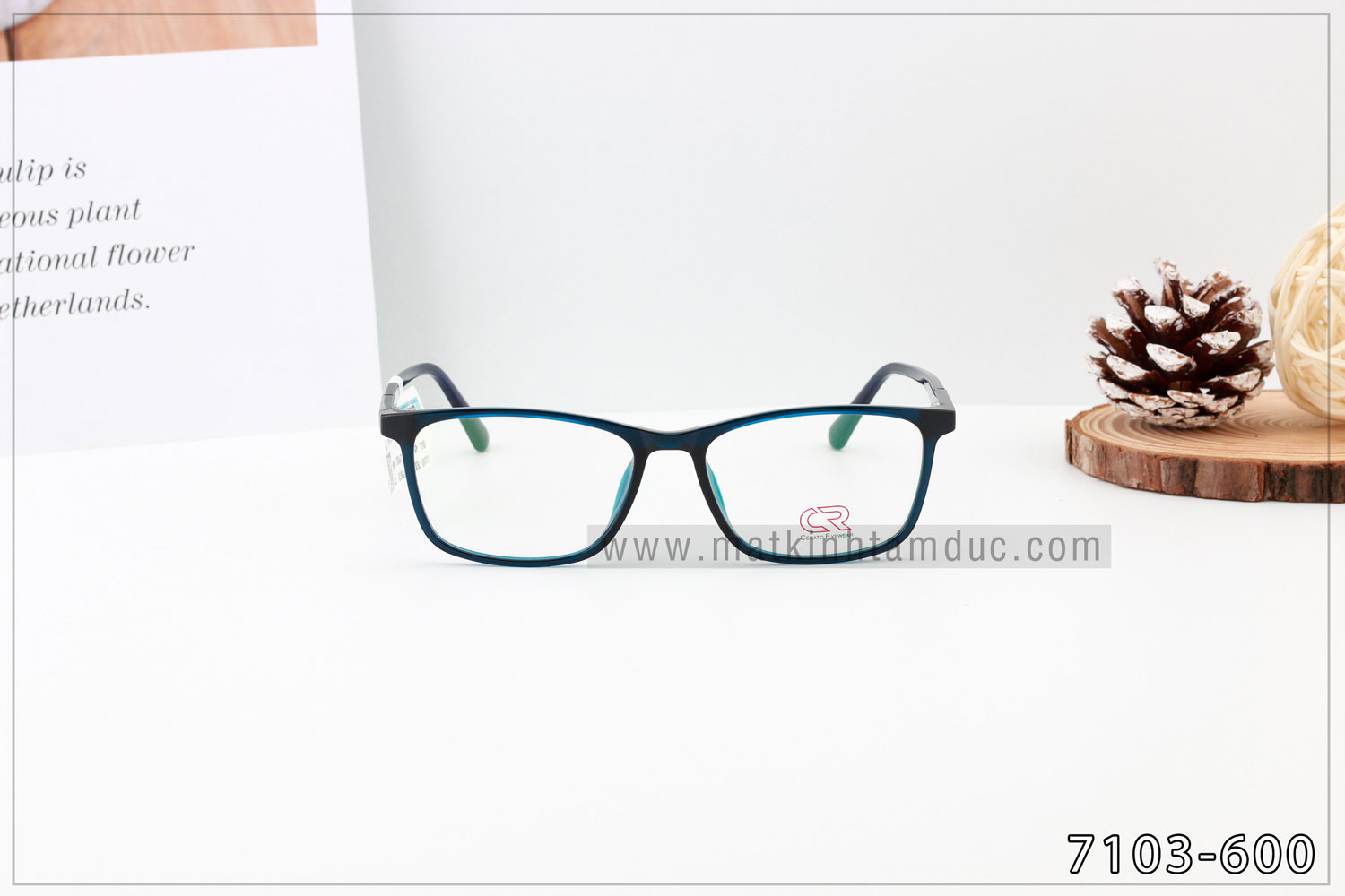 Gọng kính CERATO 7103 - Ảnh 2