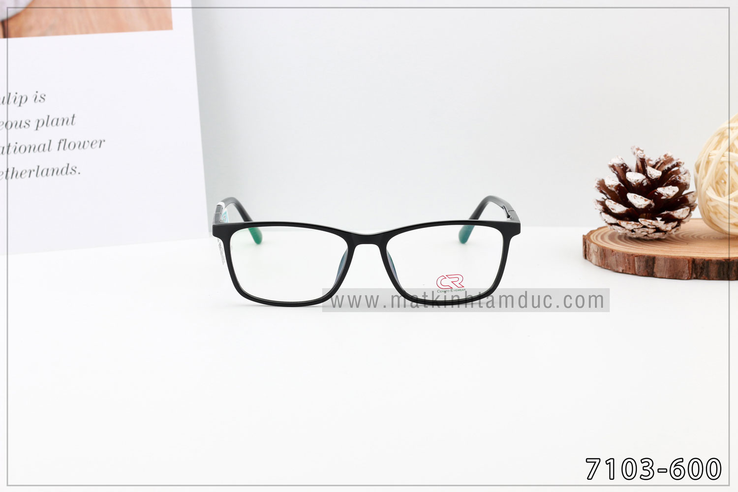 Gọng kính CERATO 7103 - Ảnh 4