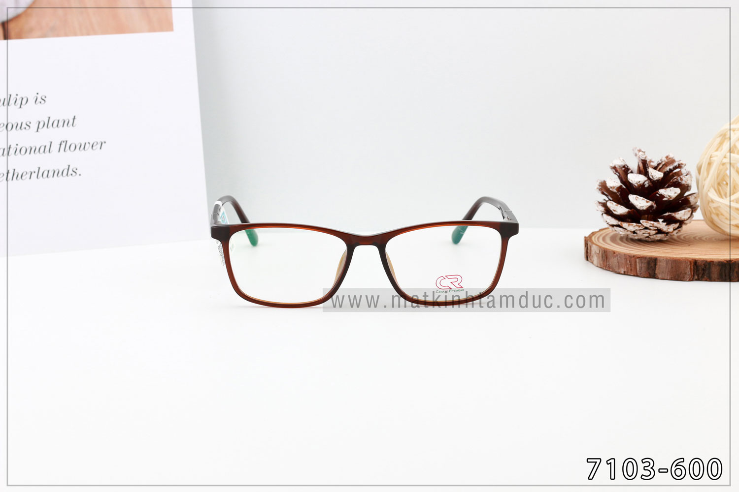 Gọng kính CERATO 7103 - Ảnh 6