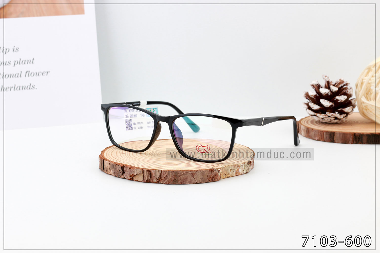 Gọng kính CERATO 7103 - Ảnh 1