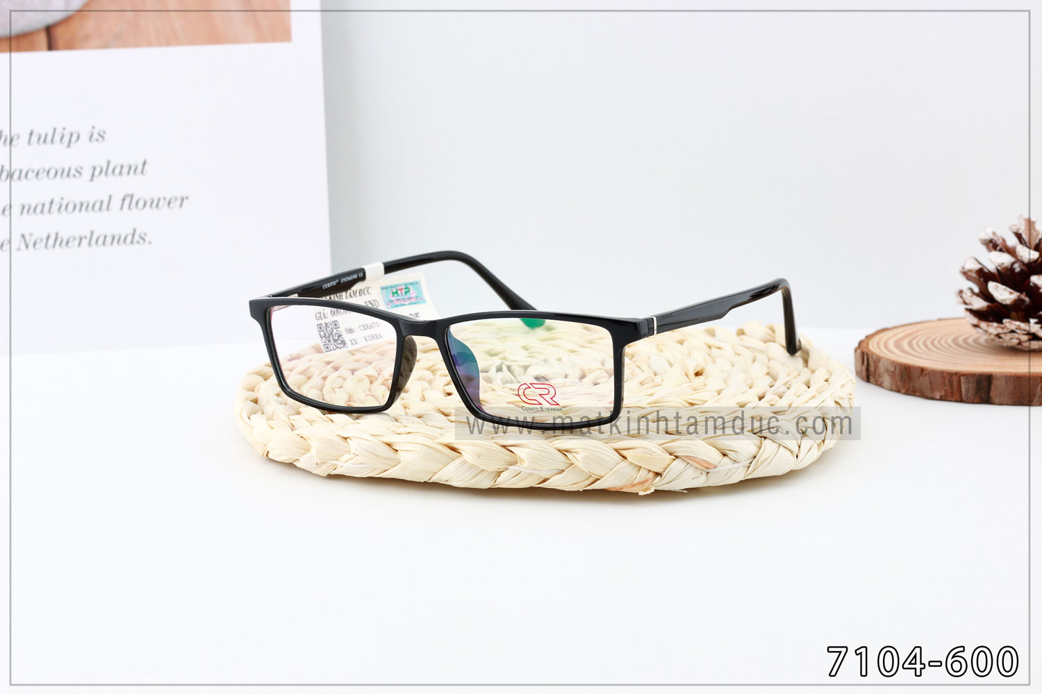 Gọng kính CERATO 7104