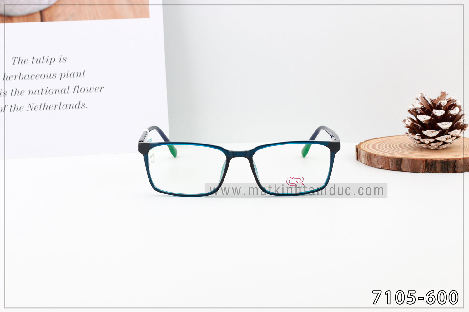 Gọng kính CERATO 7105 - Ảnh 2