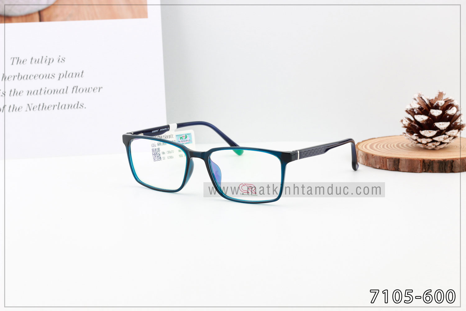 Gọng kính CERATO 7105 - Ảnh 3