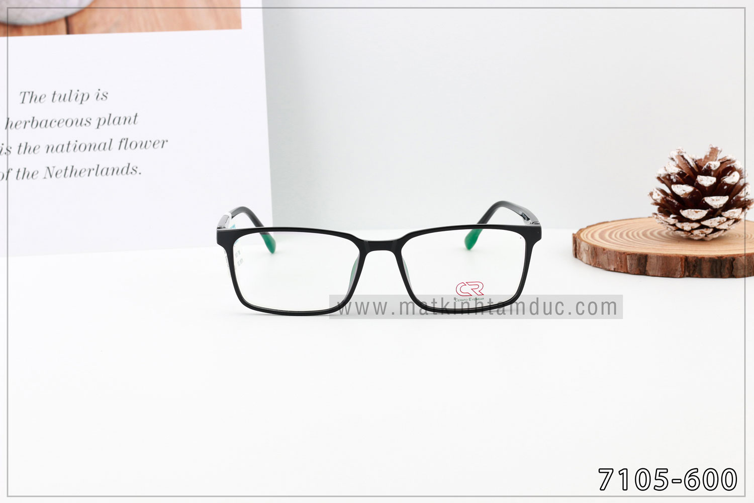 Gọng kính CERATO 7105 - Ảnh 4