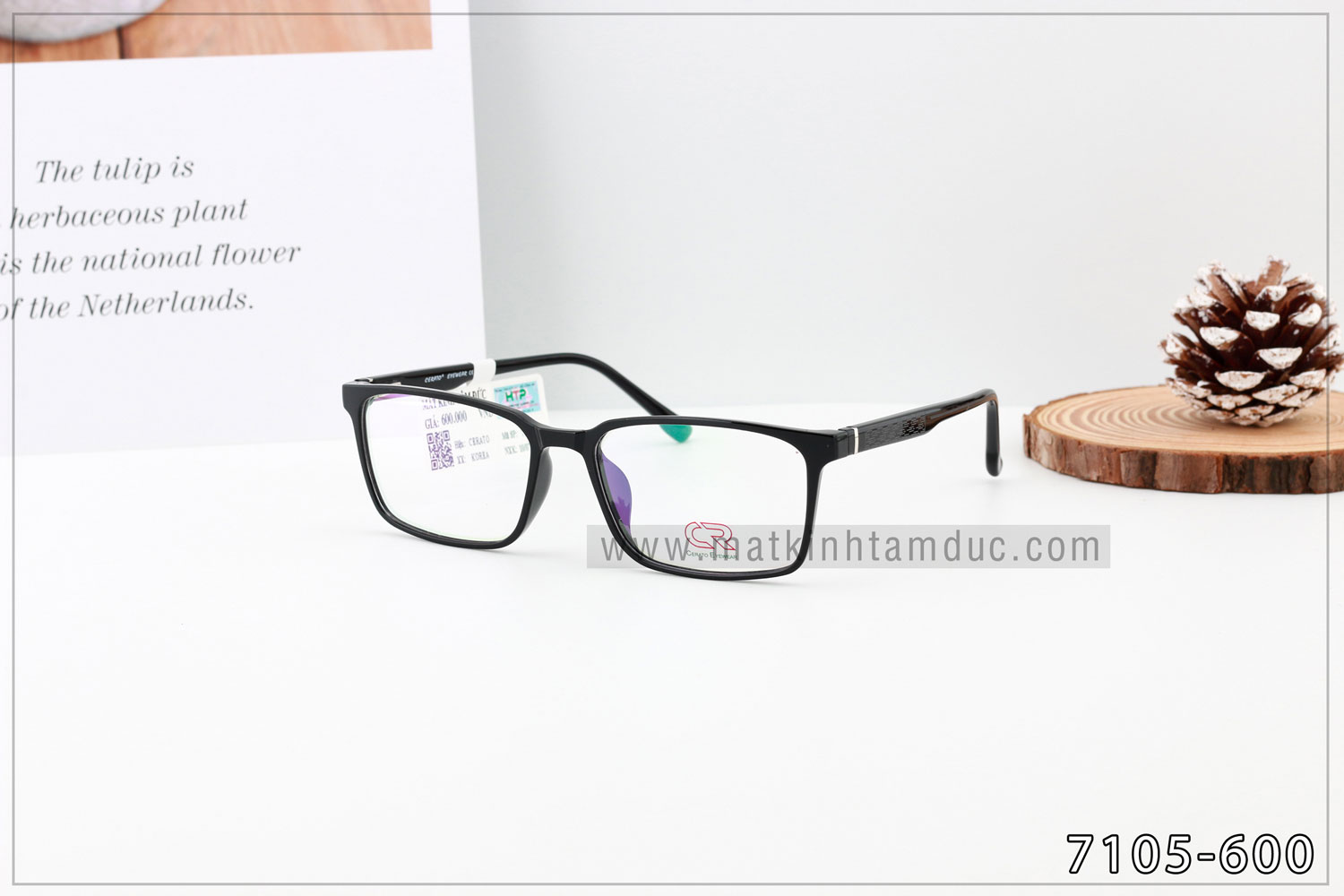 Gọng kính CERATO 7105 - Ảnh 5