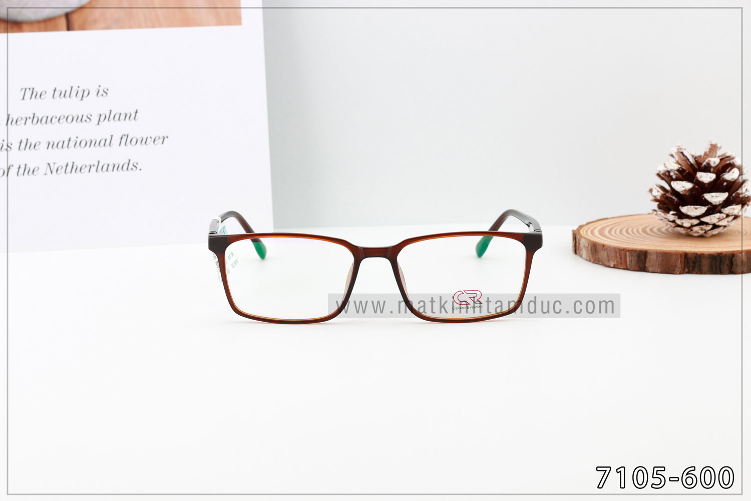 Gọng kính CERATO 7105 - Ảnh 6