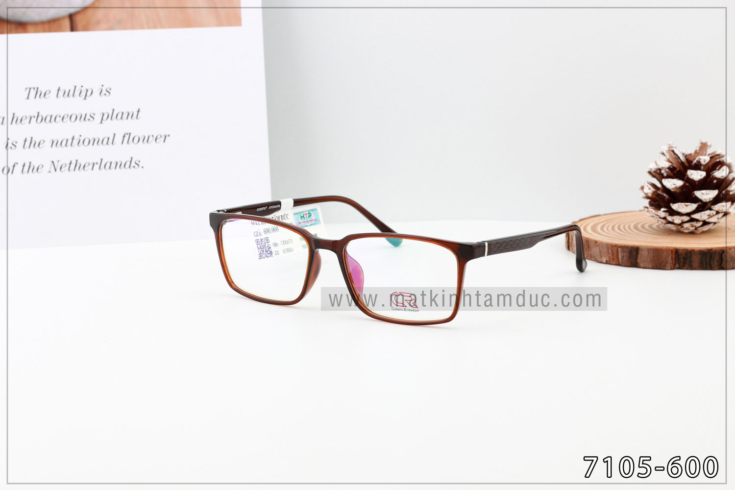 Gọng kính CERATO 7105 - Ảnh 7