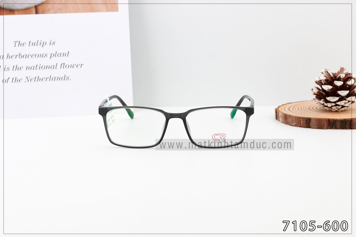 Gọng kính CERATO 7105 - Ảnh 8