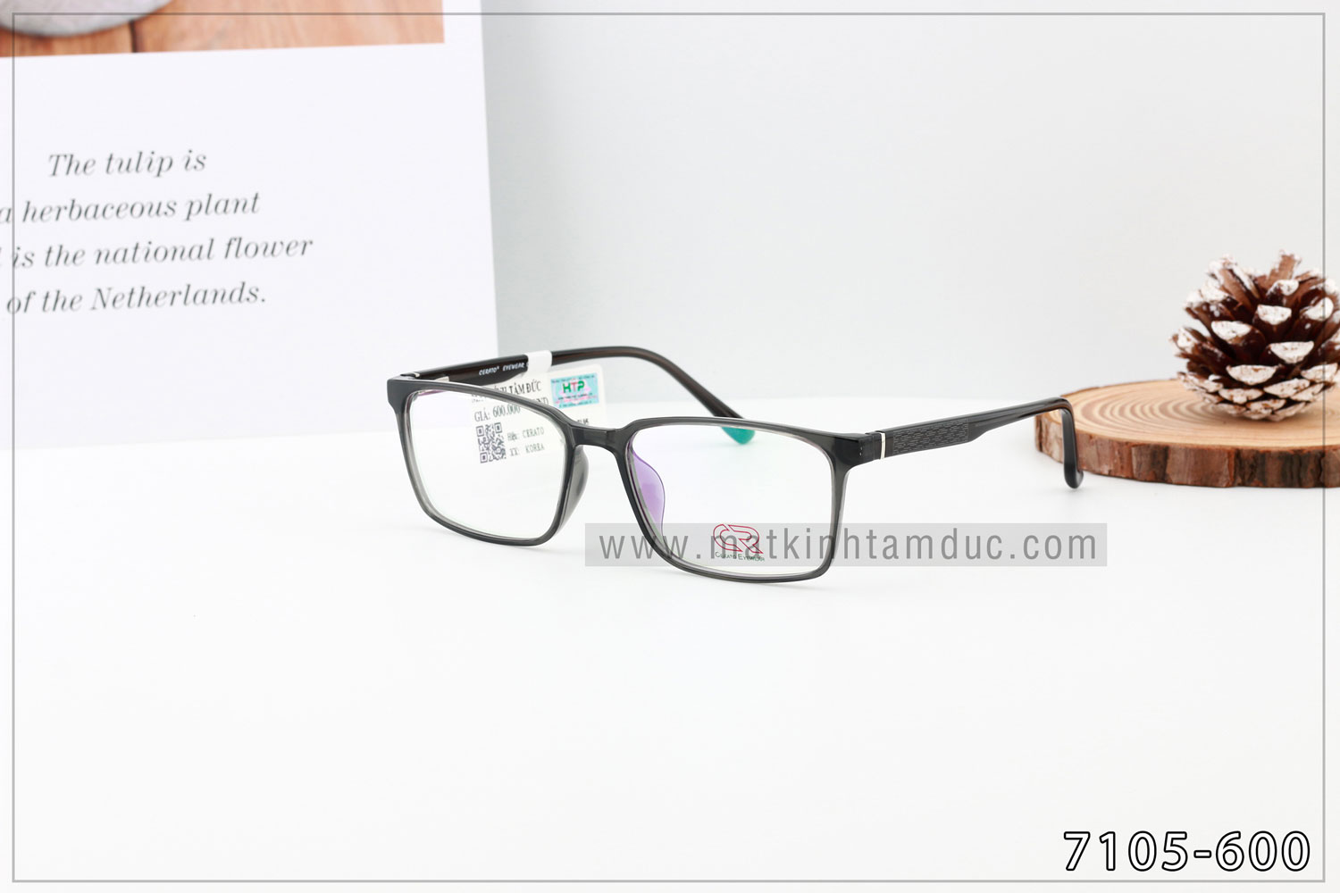 Gọng kính CERATO 7105 - Ảnh 9
