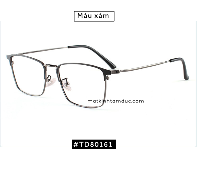 Gọng kính TD80161 - Ảnh 3