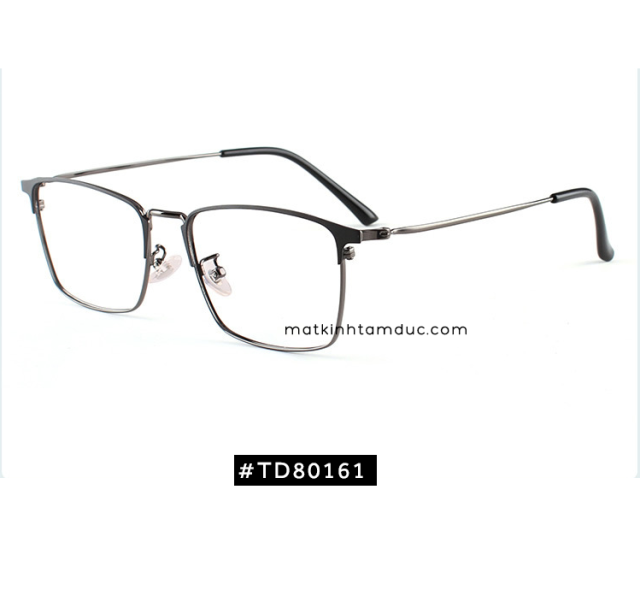 Gọng kính TD80161 - Ảnh 1