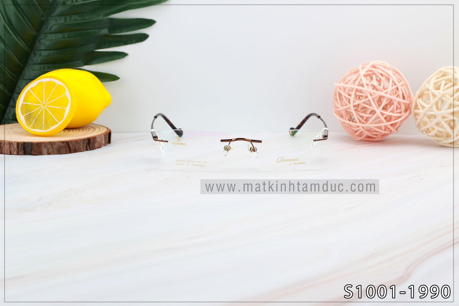 Gọng kính Vilandio DERNESTO S1001 - Ảnh 2