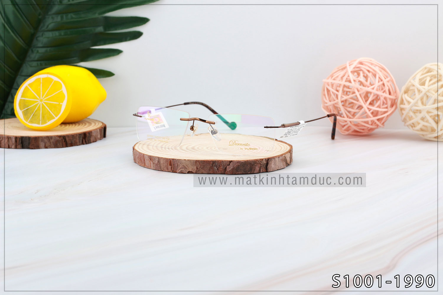 Gọng kính Vilandio DERNESTO S1001 - Ảnh 4