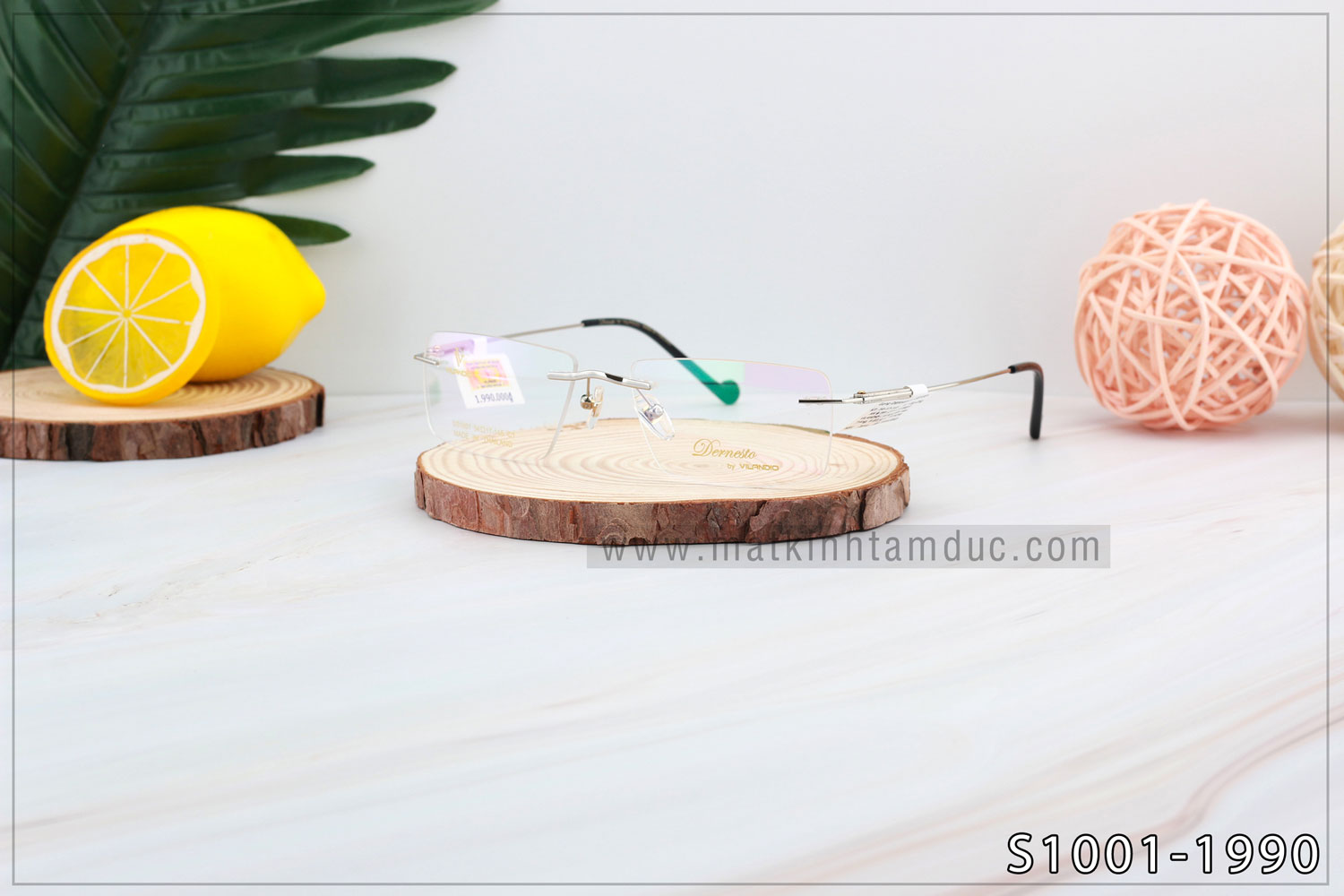 Gọng kính Vilandio DERNESTO S1001 - Ảnh 5