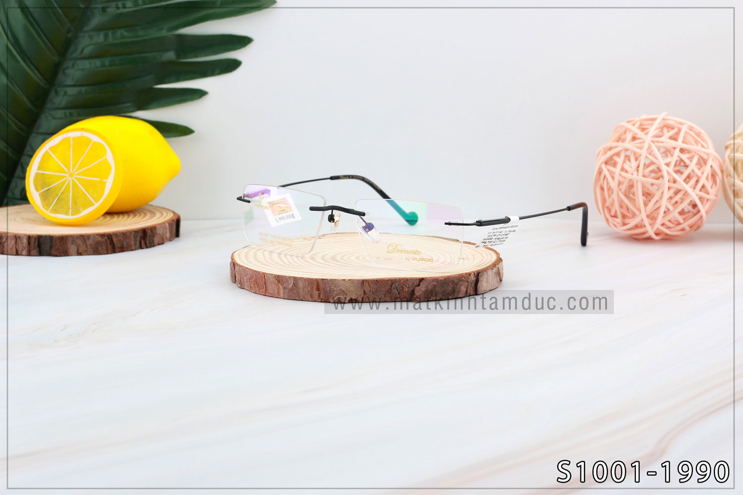 Gọng kính Vilandio DERNESTO S1001 - Ảnh 6