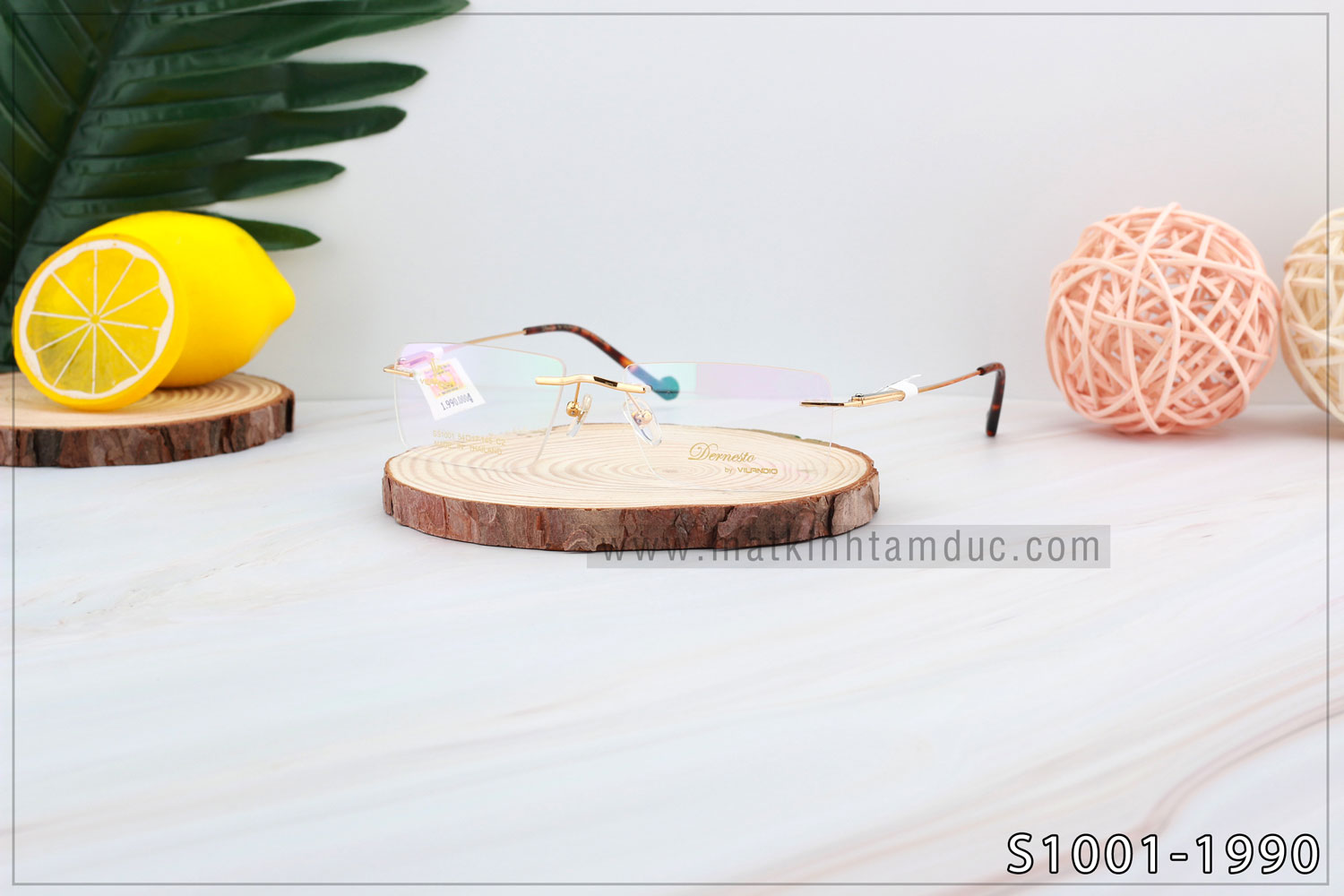 Gọng kính Vilandio DERNESTO S1001 - Ảnh 1