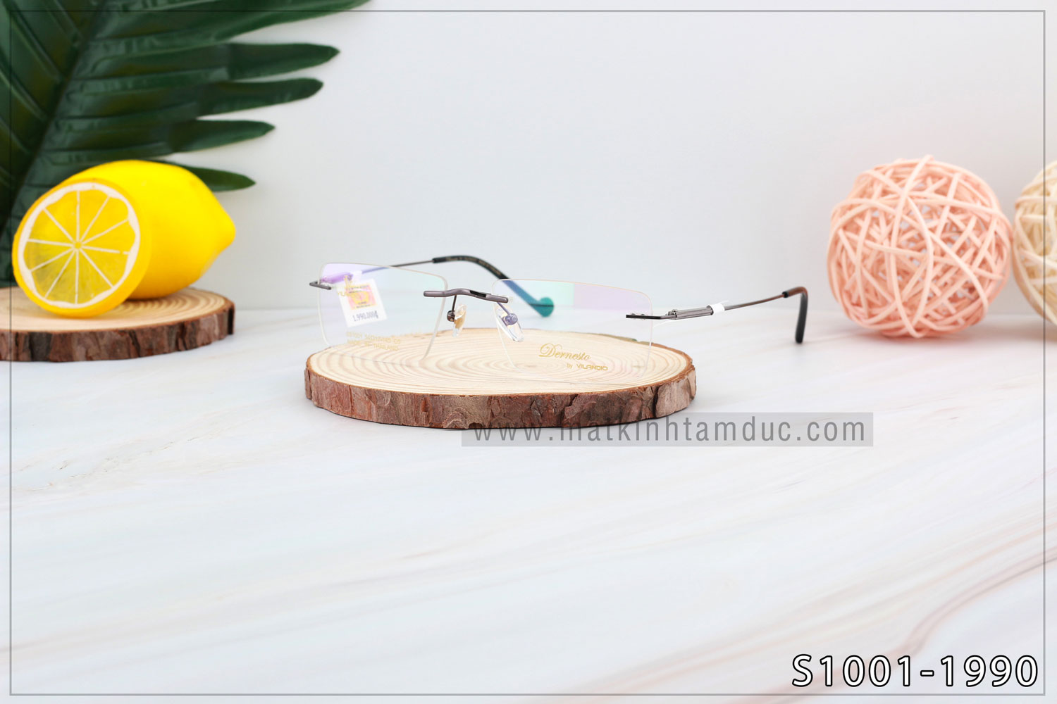 Gọng kính Vilandio DERNESTO S1001 - Ảnh 8