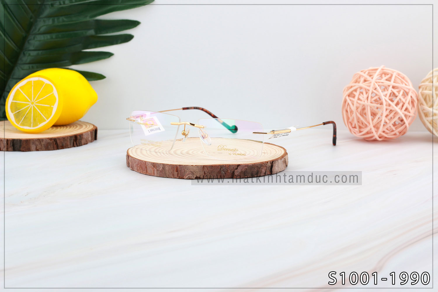 Gọng kính Vilandio DERNESTO S1001 - Ảnh 9