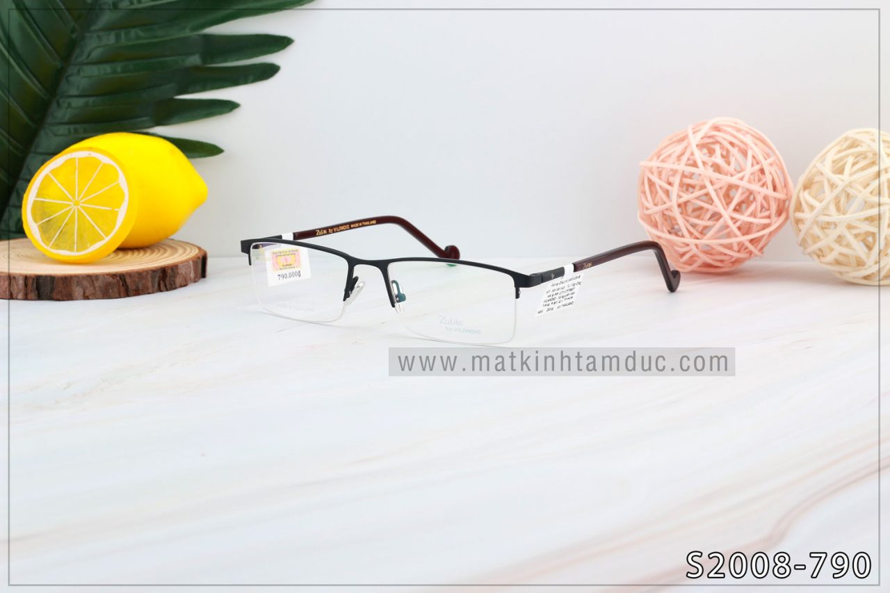 Gọng kính Vilandio ZALIKI S2028 - Ảnh 3