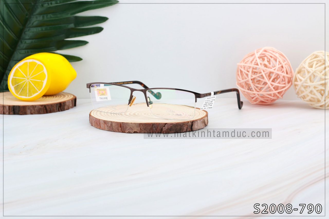 Gọng kính Vilandio ZALIKI S2028 - Ảnh 6