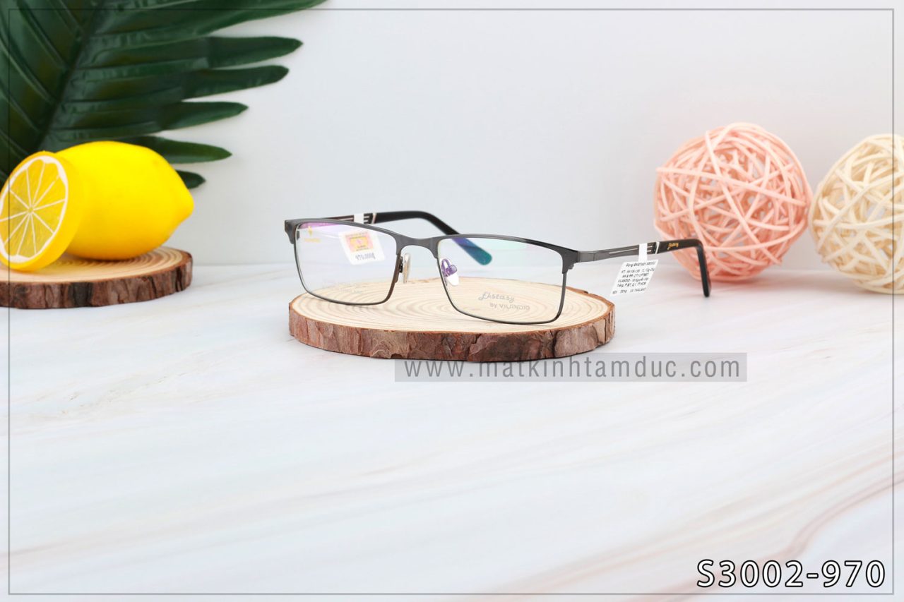 Gọng kính Vilandio FKSTACYS S3002 - Ảnh 4