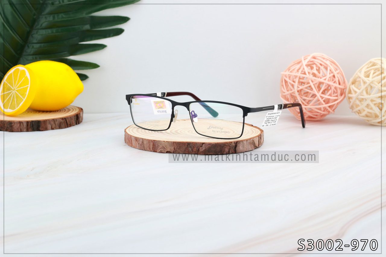 Gọng kính Vilandio FKSTACYS S3002 - Ảnh 1