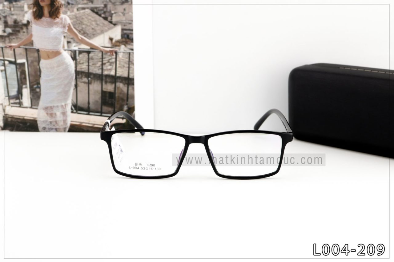 Gọng kính dẻo L004 - Ảnh 2