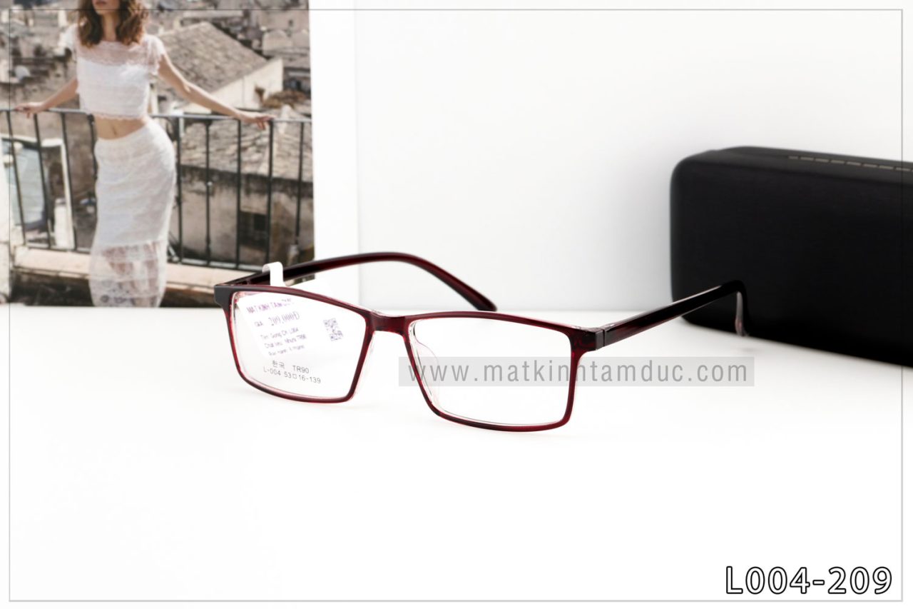 Gọng kính dẻo L004 - Ảnh 4