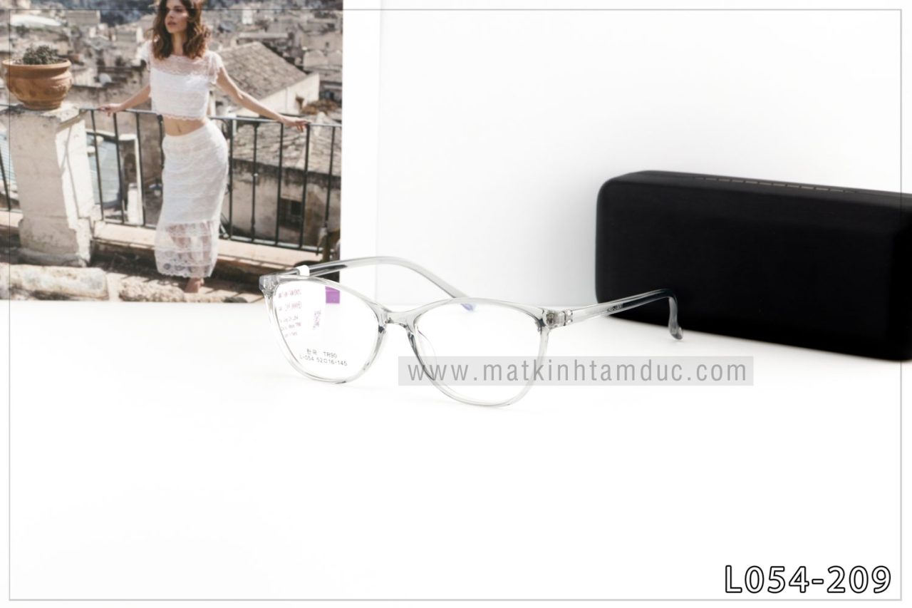 Gọng kính dẻo L054 - Ảnh 3