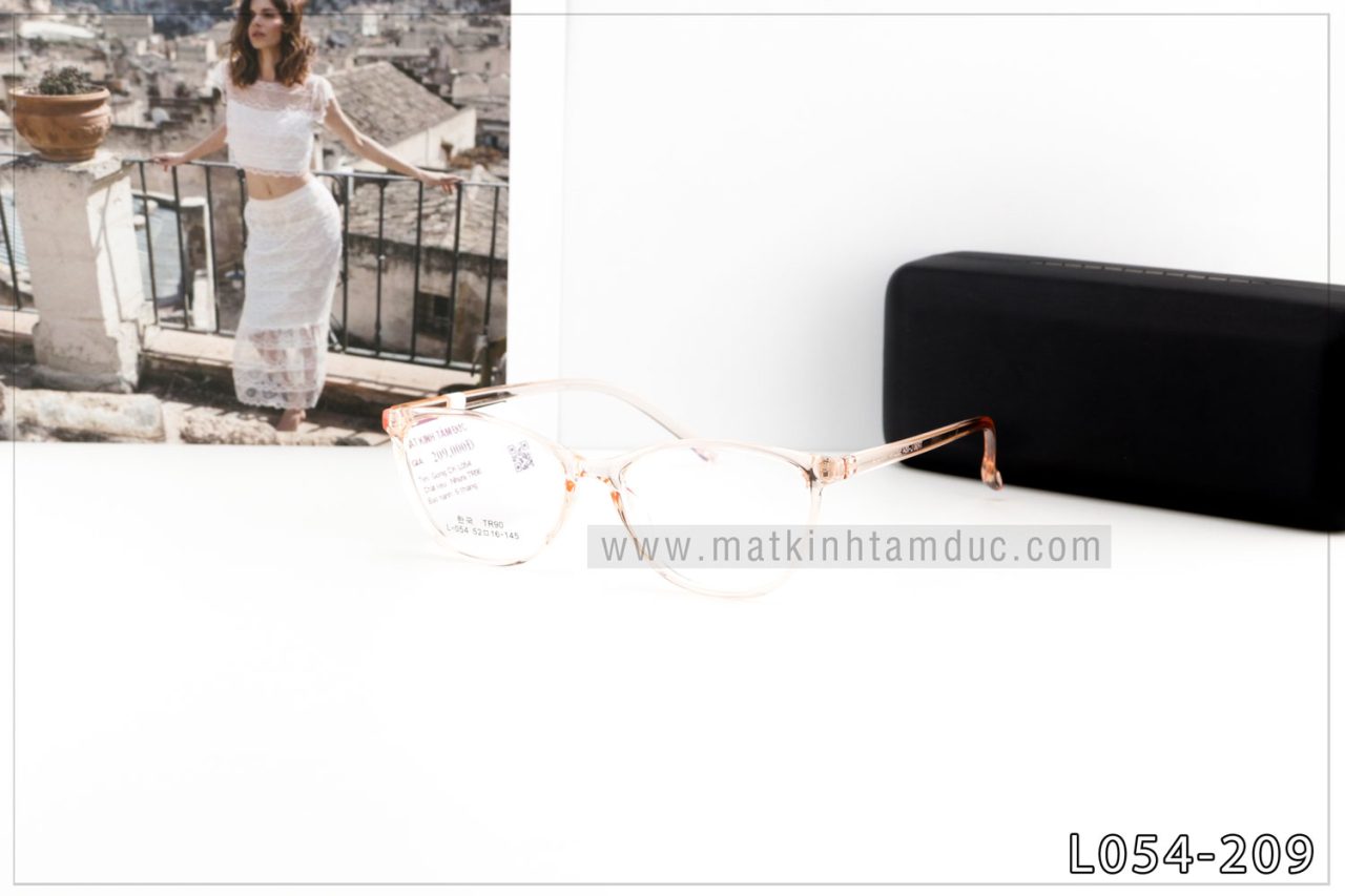 Gọng kính dẻo L054 - Ảnh 5
