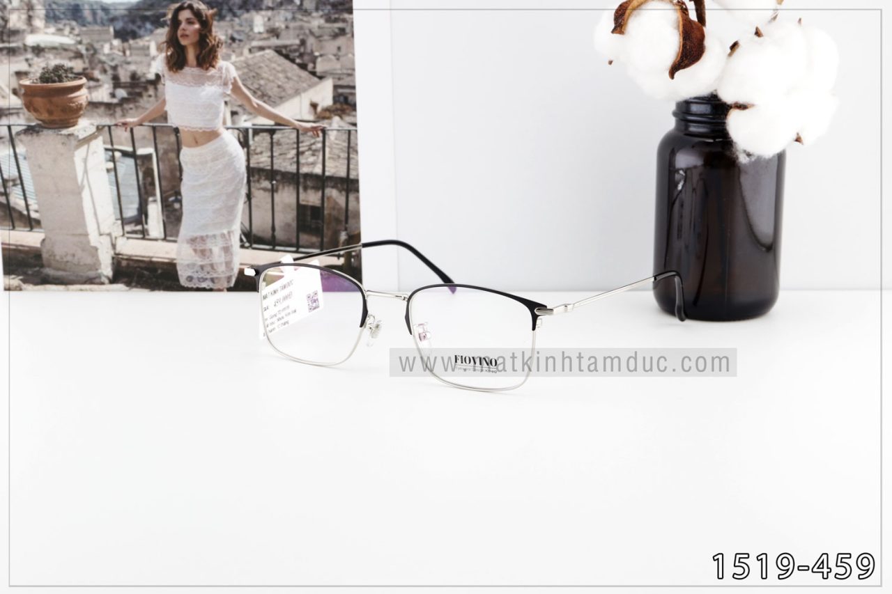 Gọng kính TD1519 - Ảnh 1