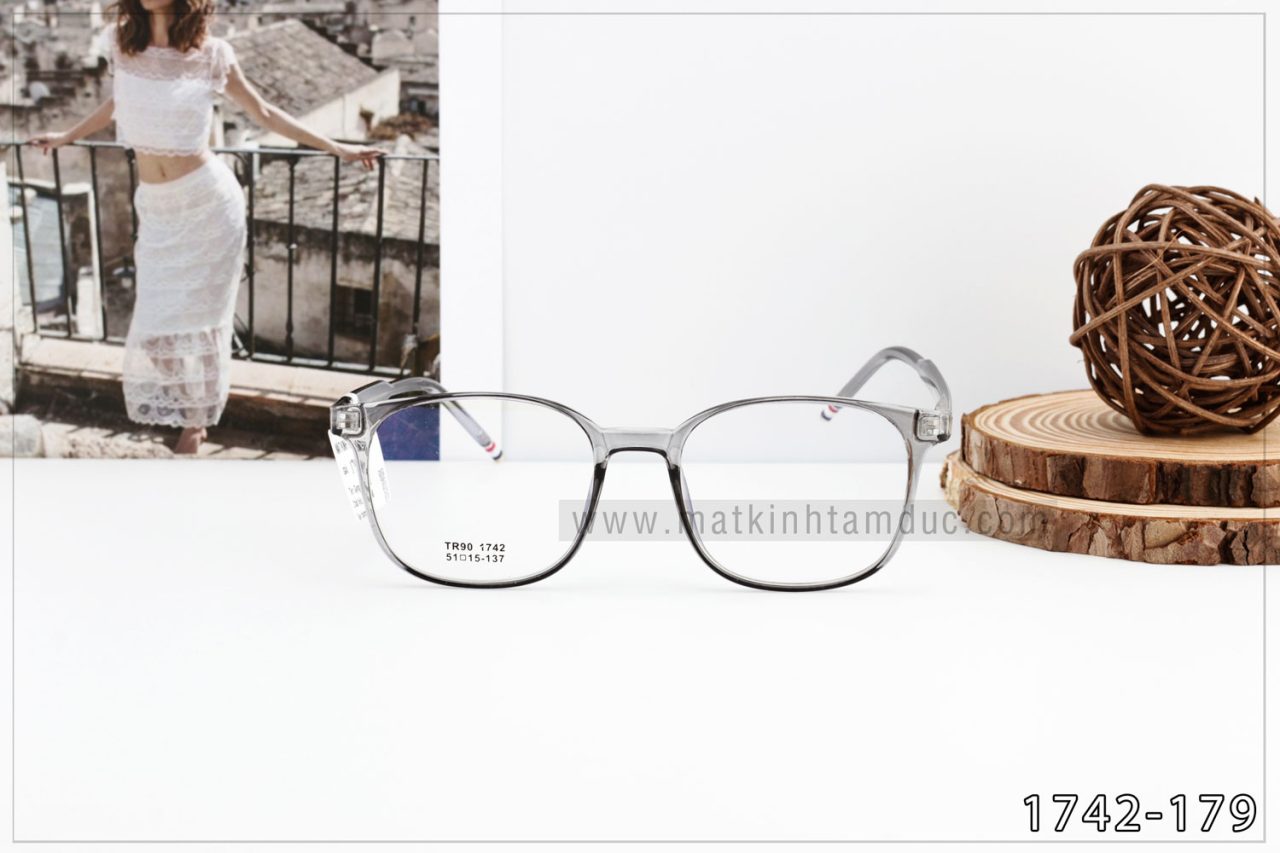 Gọng kính dẻo 1742 - Ảnh 2