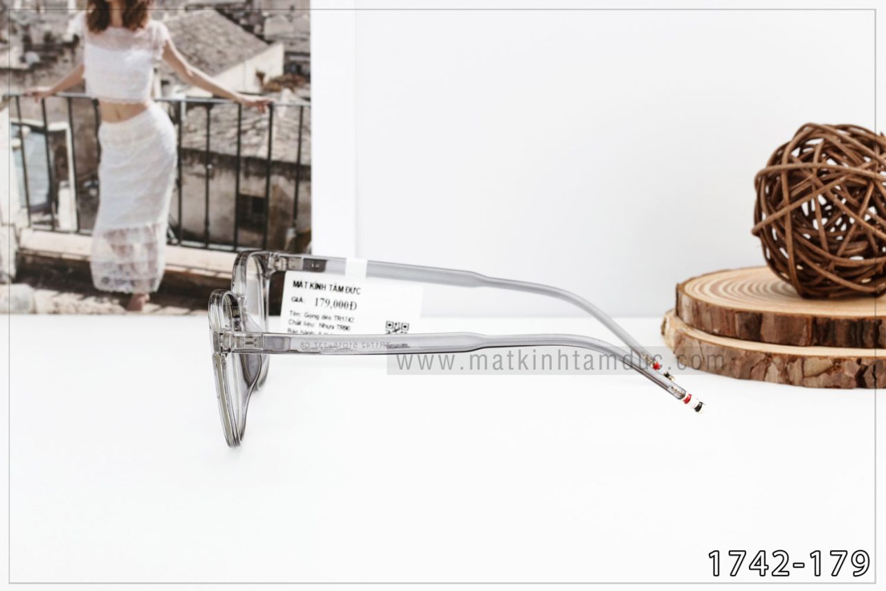 Gọng kính dẻo 1742 - Ảnh 6