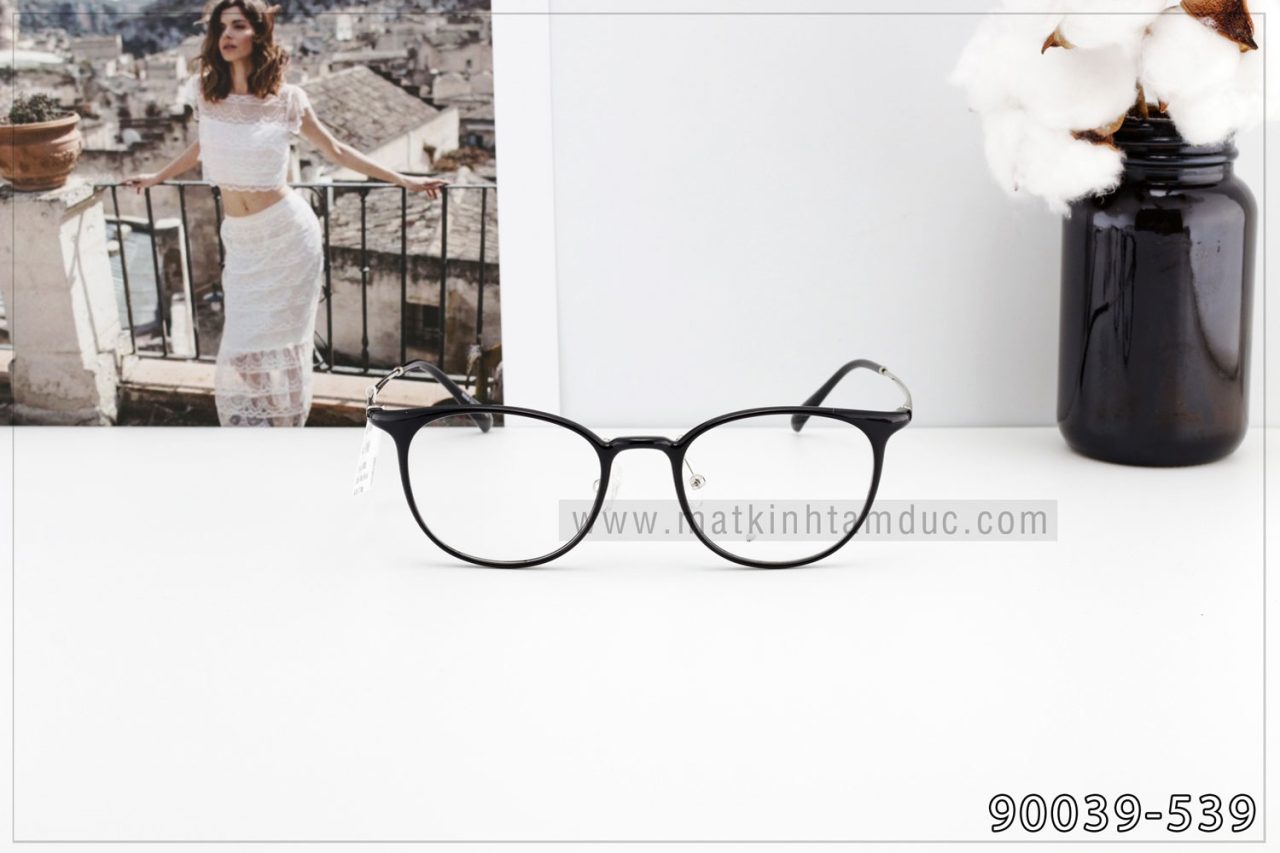 Gọng kính cận TD90039 - Ảnh 2