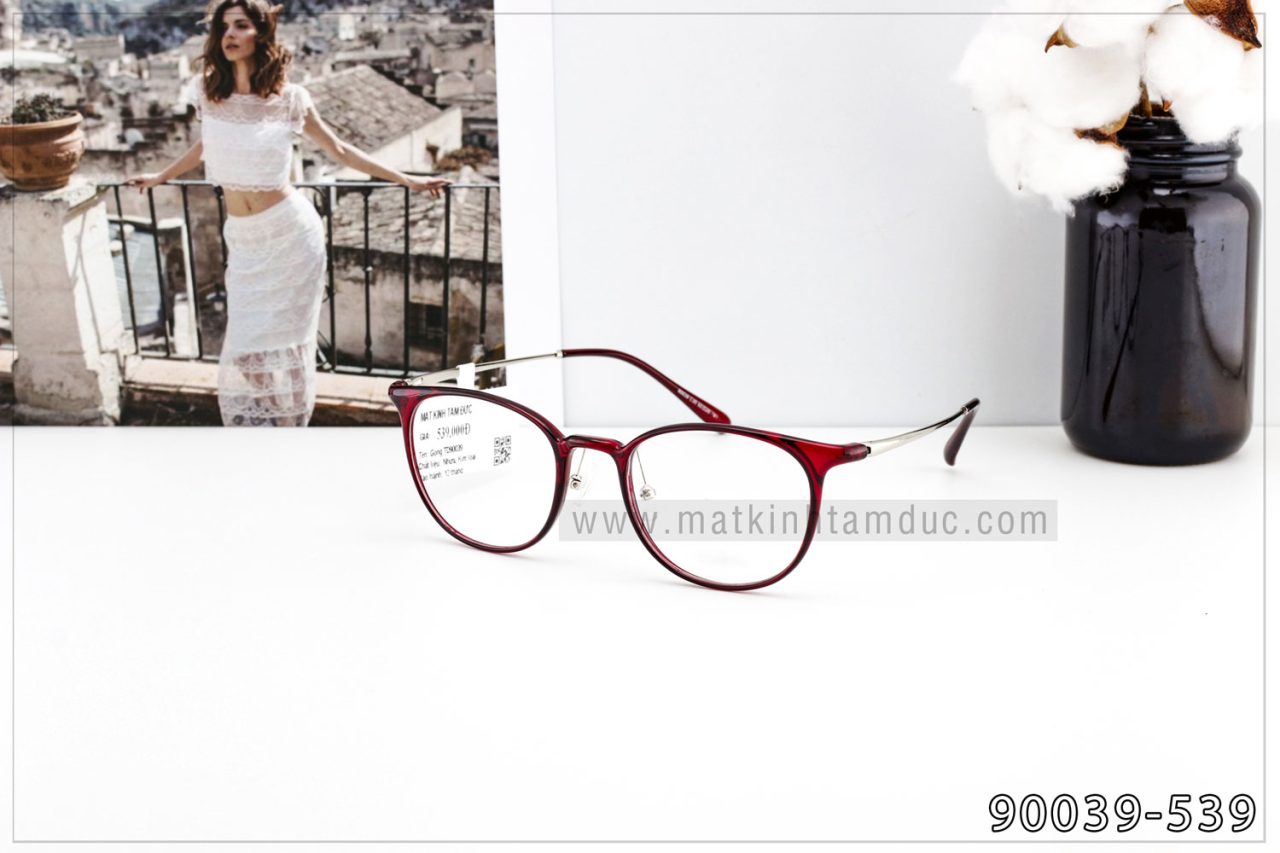 Gọng kính cận TD90039 - Ảnh 3