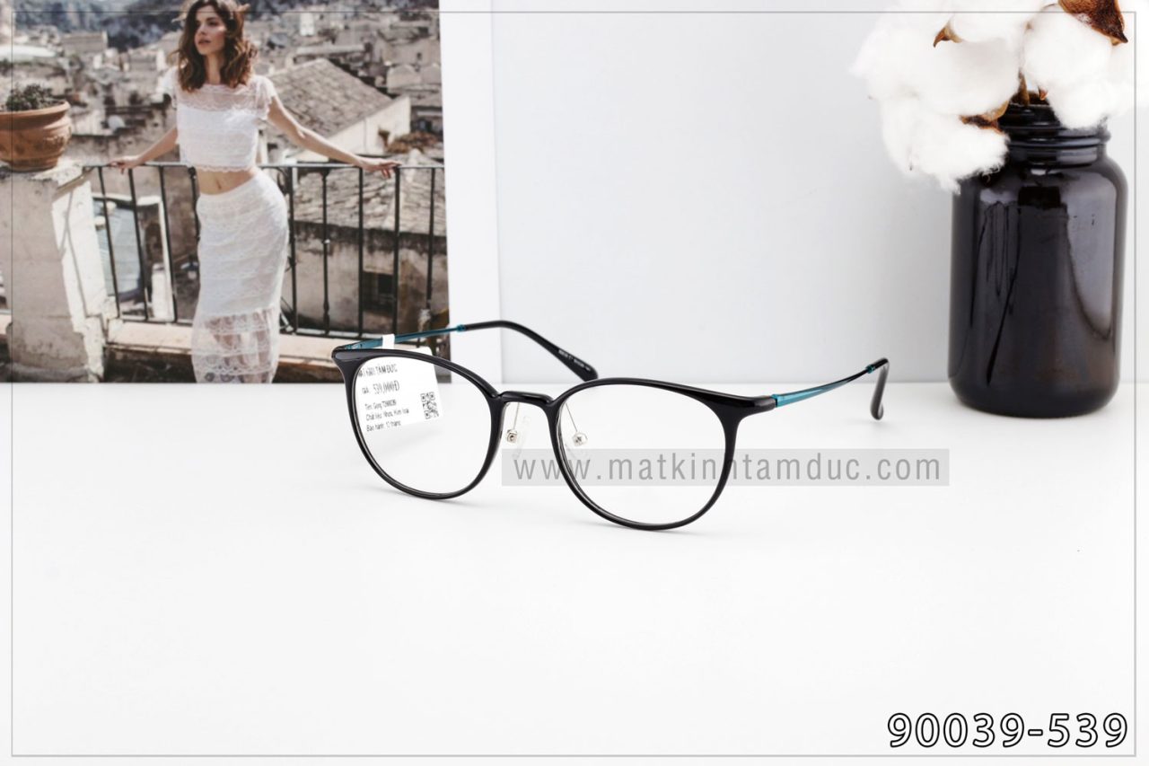 Gọng kính cận TD90039 - Ảnh 4