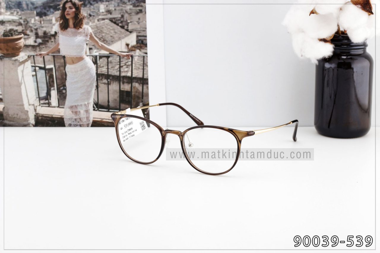 Gọng kính cận TD90039 - Ảnh 5