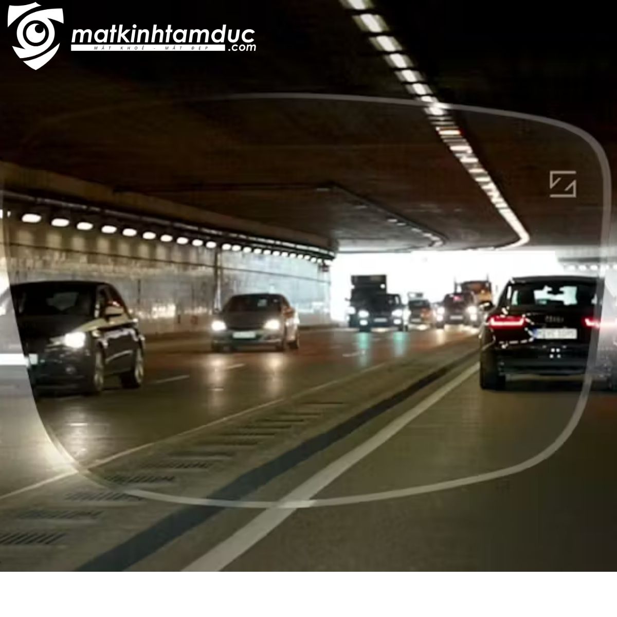 Tròng kính Đơn tròng ZEISS DriveSafe/DriveSafe Individual - UVProtect/Đổi màu PhotoFusion X/Nhuộm màu/Polarized - Ảnh 13