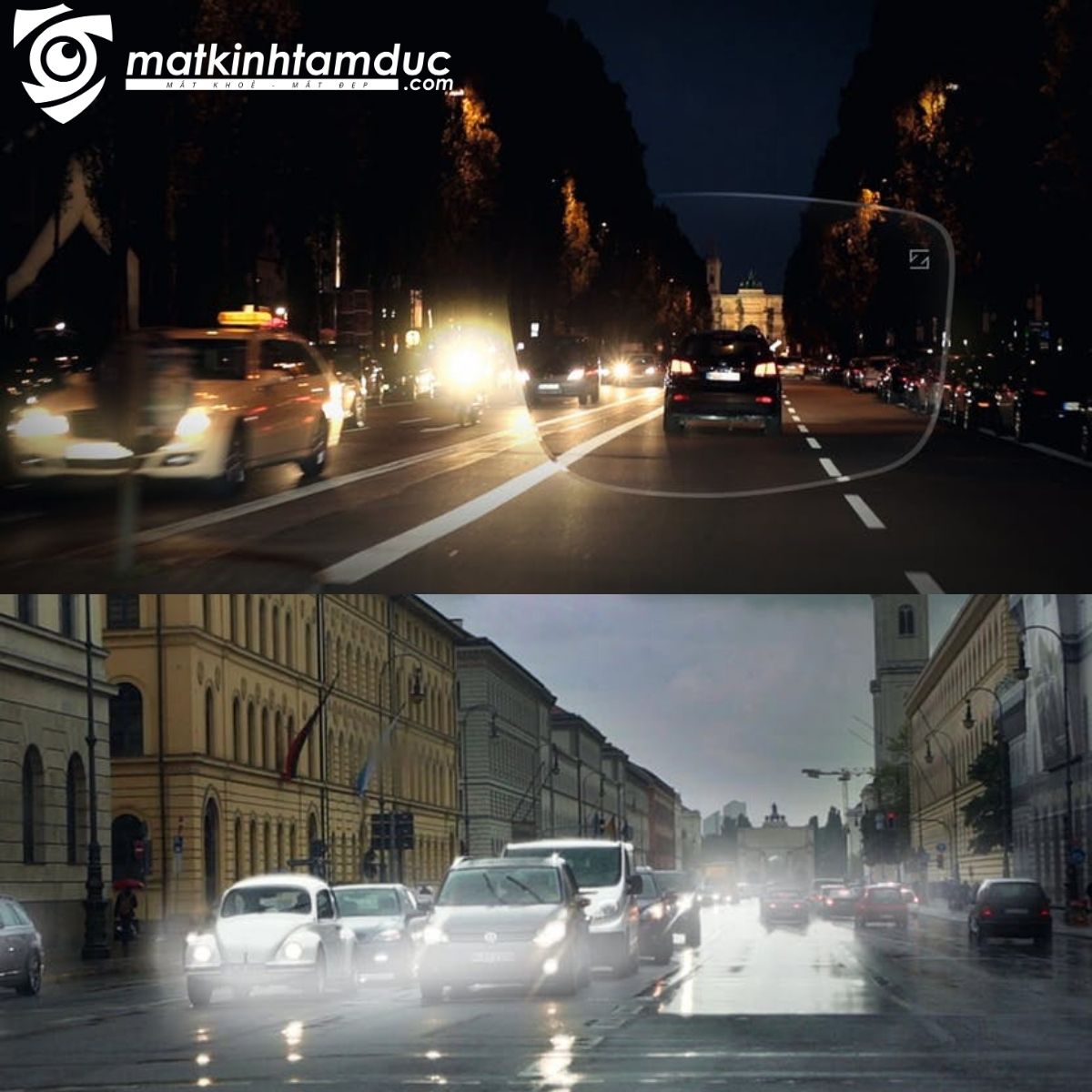 Tròng kính Đơn tròng ZEISS DriveSafe/DriveSafe Individual - UVProtect/Đổi màu PhotoFusion X/Nhuộm màu/Polarized - Ảnh 10