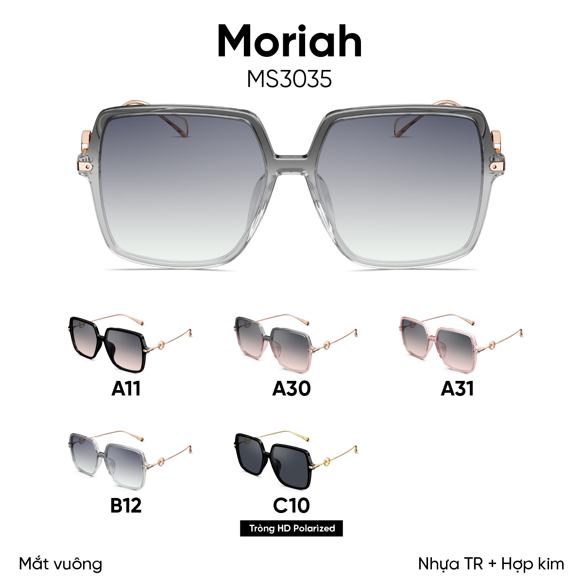 KÍNH MÁT MOLSION MS5035 - Ảnh 1