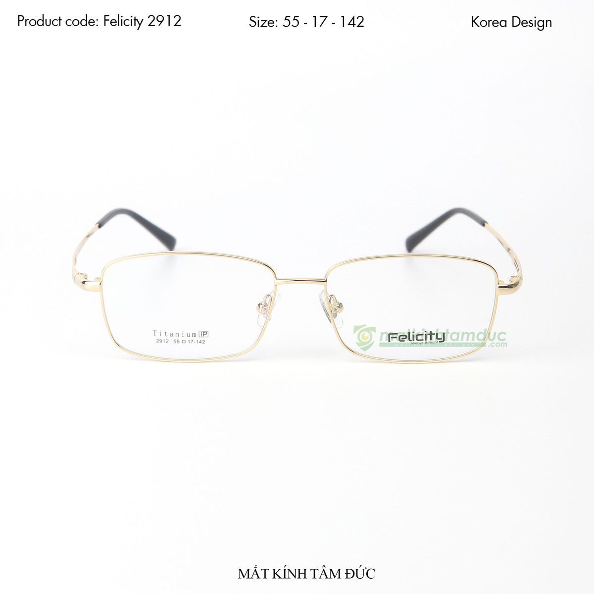 Gọng kính FELICITY FE2912