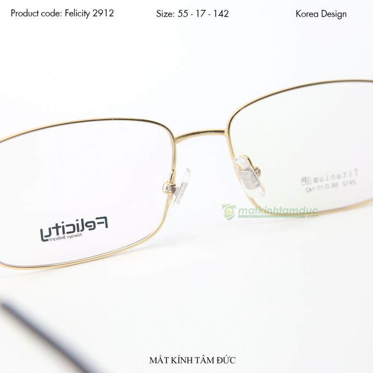 Gọng kính FELICITY FE2912 - Ảnh 3
