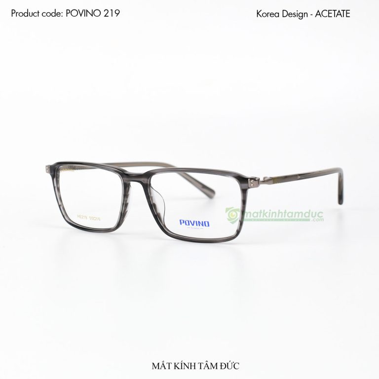 Gọng kính POVINO 219 - Ảnh 4