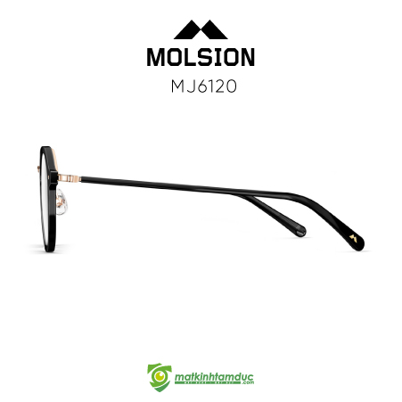 Gọng kính MOLSION MJ6120 - Ảnh 2