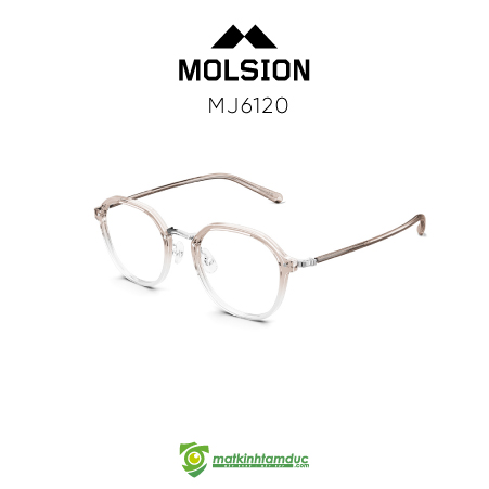 Gọng kính MOLSION MJ6120 - Ảnh 10