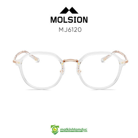 Gọng kính MOLSION MJ6120 - Ảnh 11